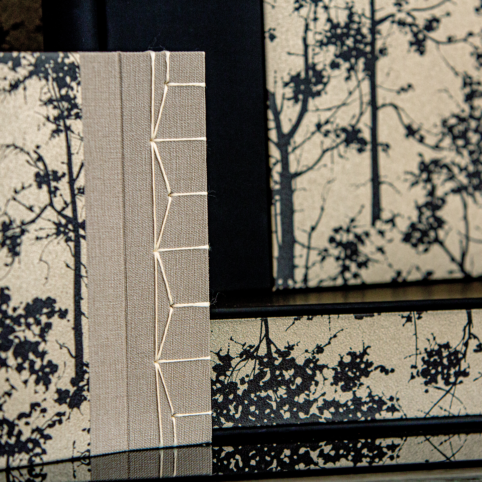 JAPAN 5