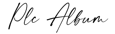 PLC
